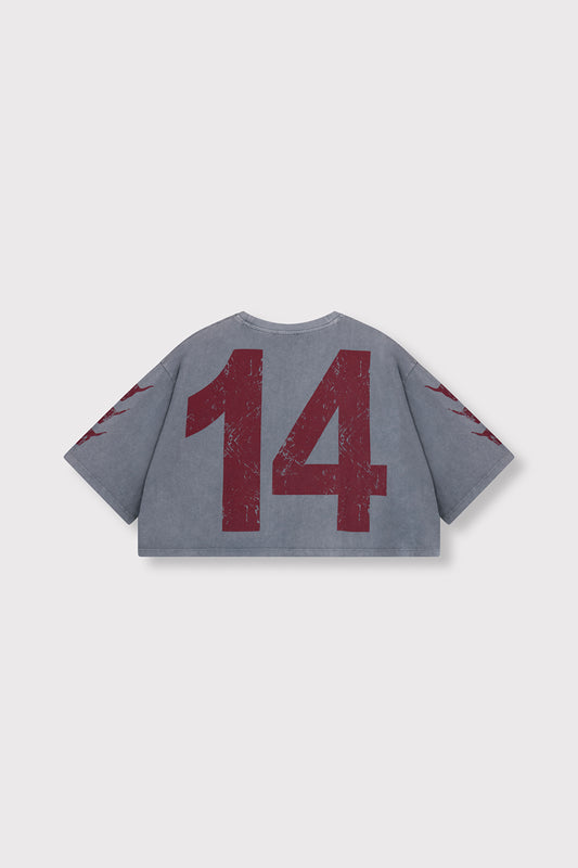 Al 2014 tee