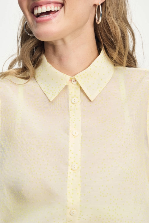 Pom Lime dots