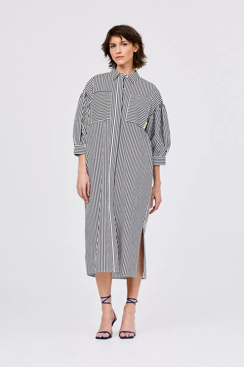 Dinox